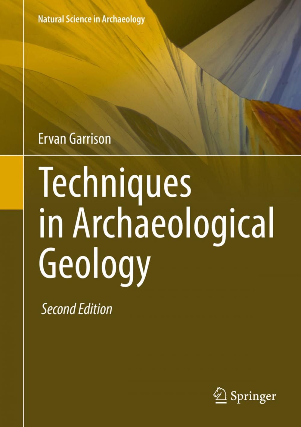 Big bigCover of Techniques in Archaeological Geology