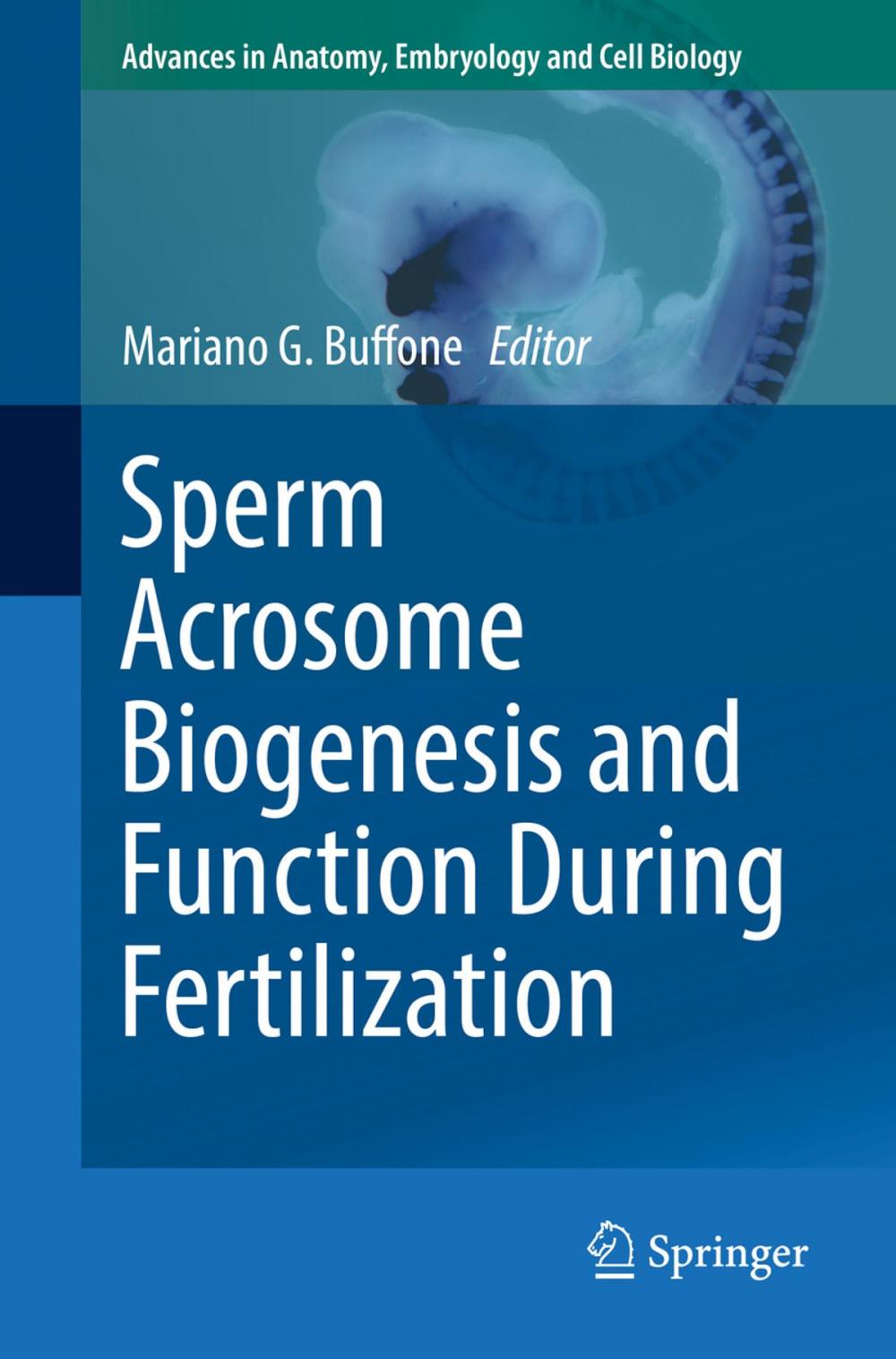 Big bigCover of Sperm Acrosome Biogenesis and Function During Fertilization