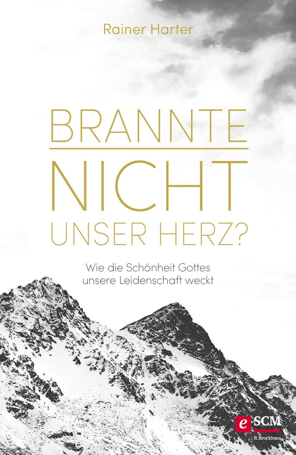 Big bigCover of Brannte nicht unser Herz?