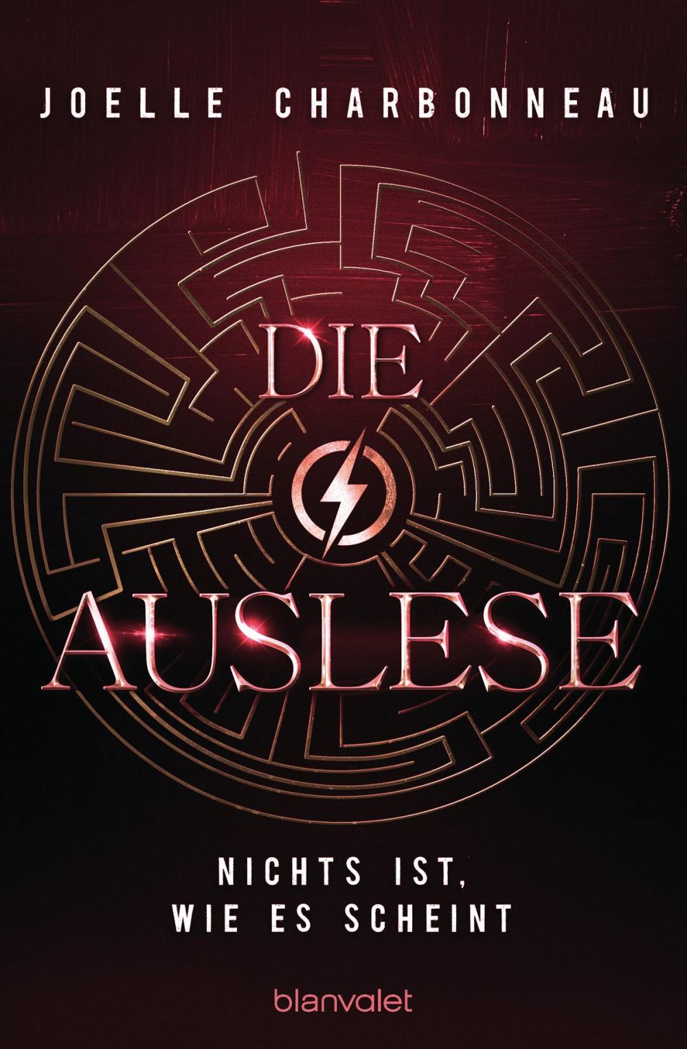 Big bigCover of Die Auslese - Nichts ist, wie es scheint