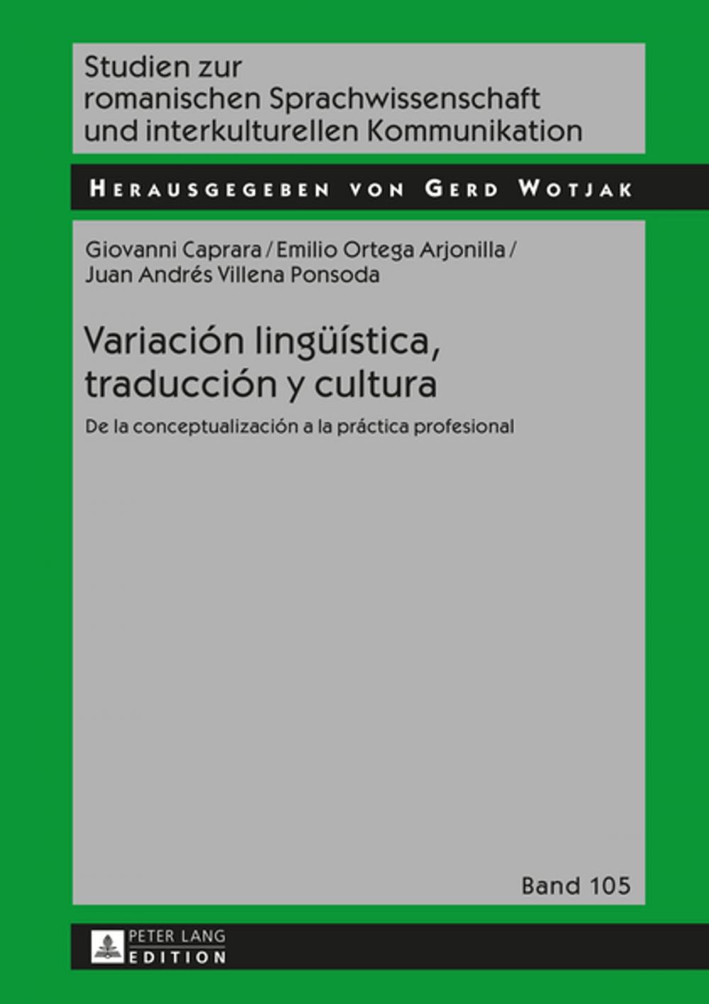 Big bigCover of Variación lingueística, traducción y cultura