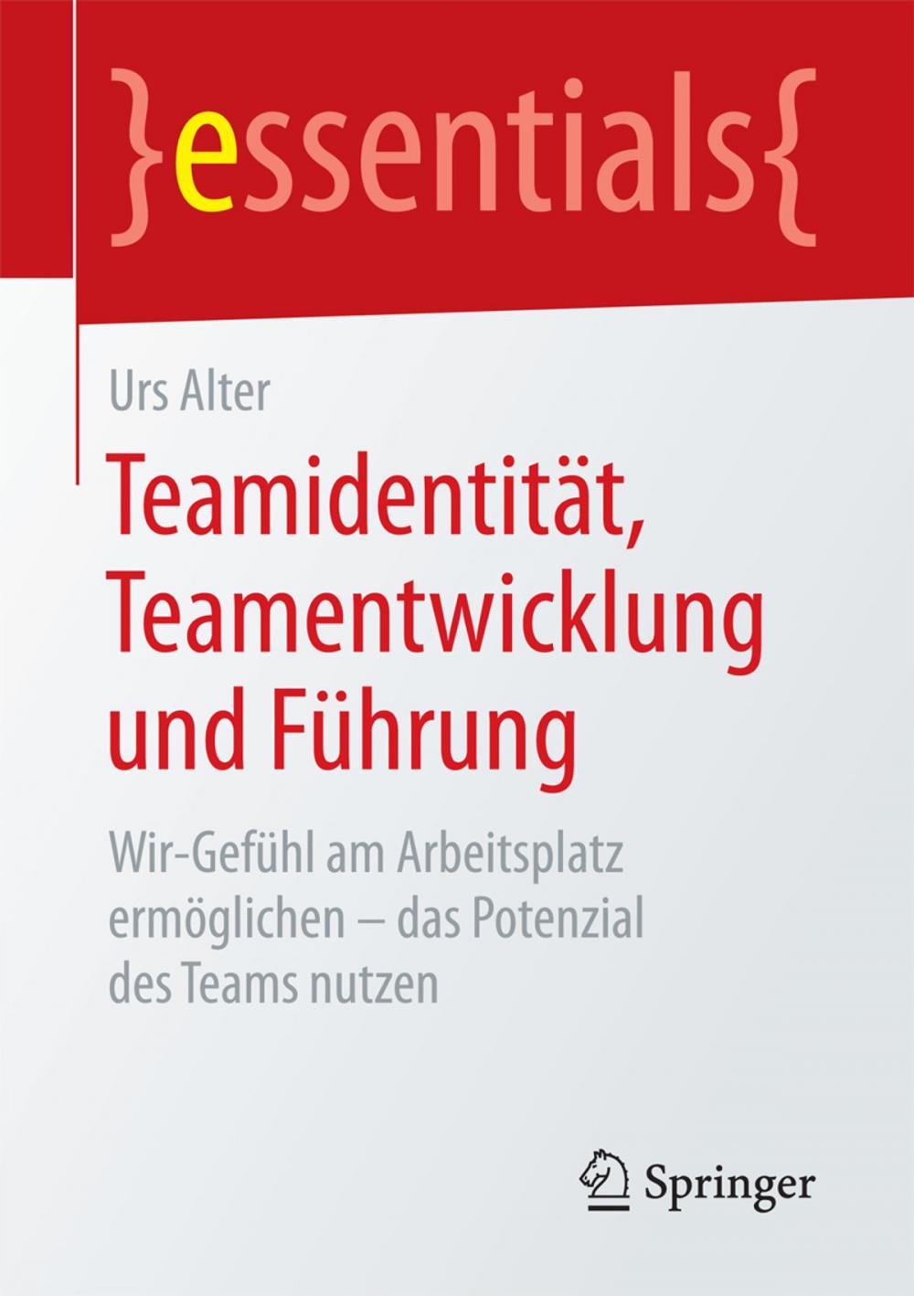 Big bigCover of Teamidentität, Teamentwicklung und Führung