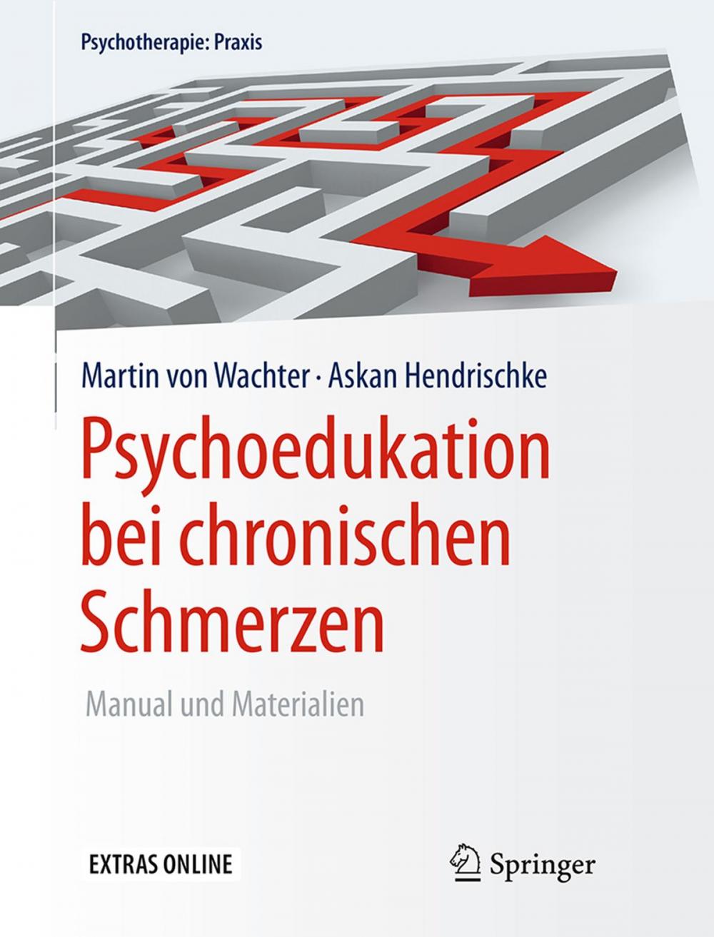 Big bigCover of Psychoedukation bei chronischen Schmerzen