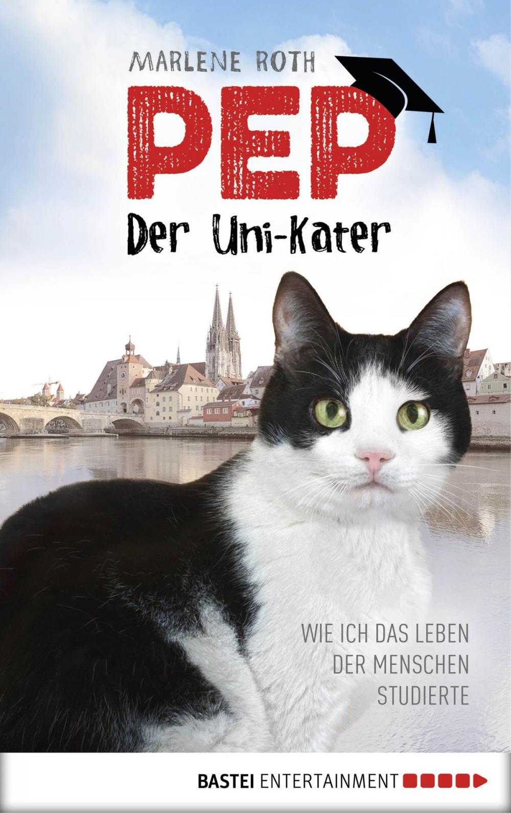 Big bigCover of Pep, der Uni-Kater