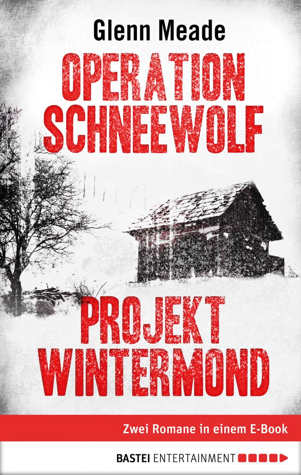 Big bigCover of Operation Schneewolf/Projekt Wintermond