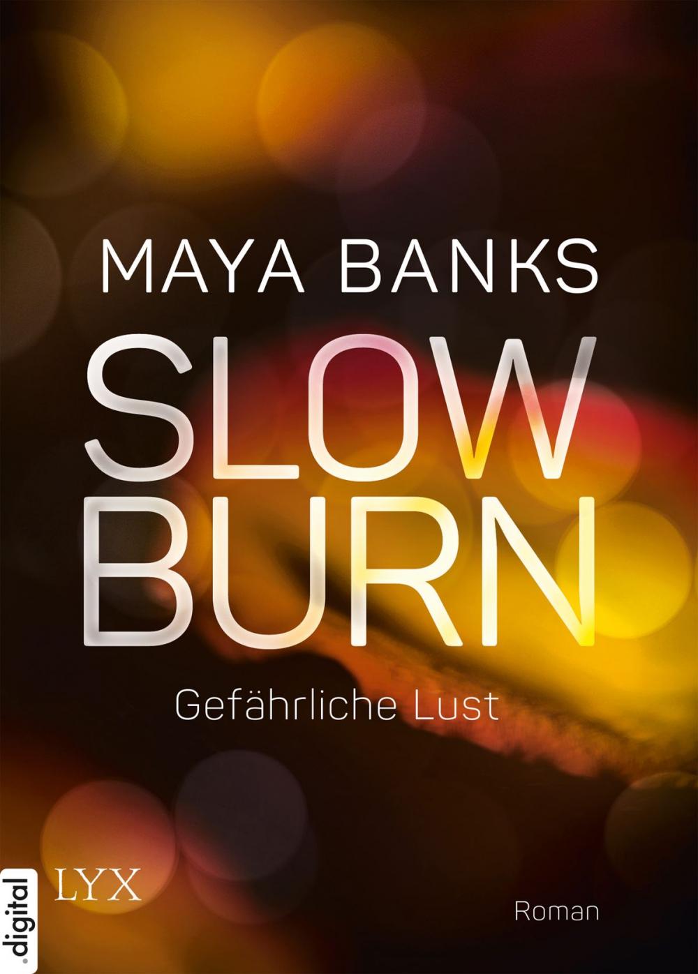 Big bigCover of Slow Burn - Gefährliche Lust