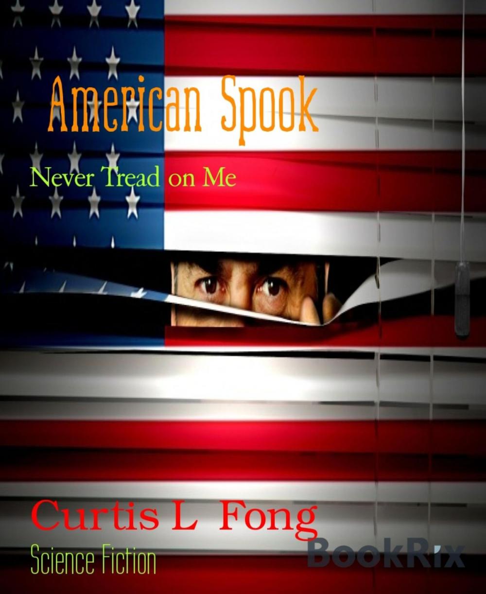 Big bigCover of American Spook