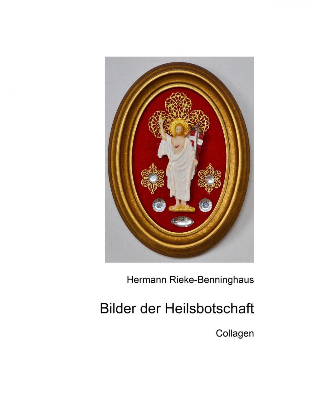 Big bigCover of Bilder der Heilsbotschaft