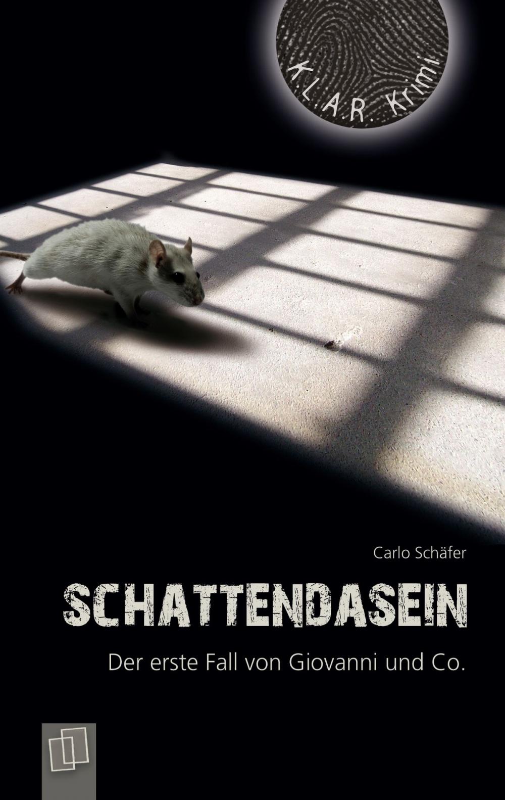 Big bigCover of Schattendasein