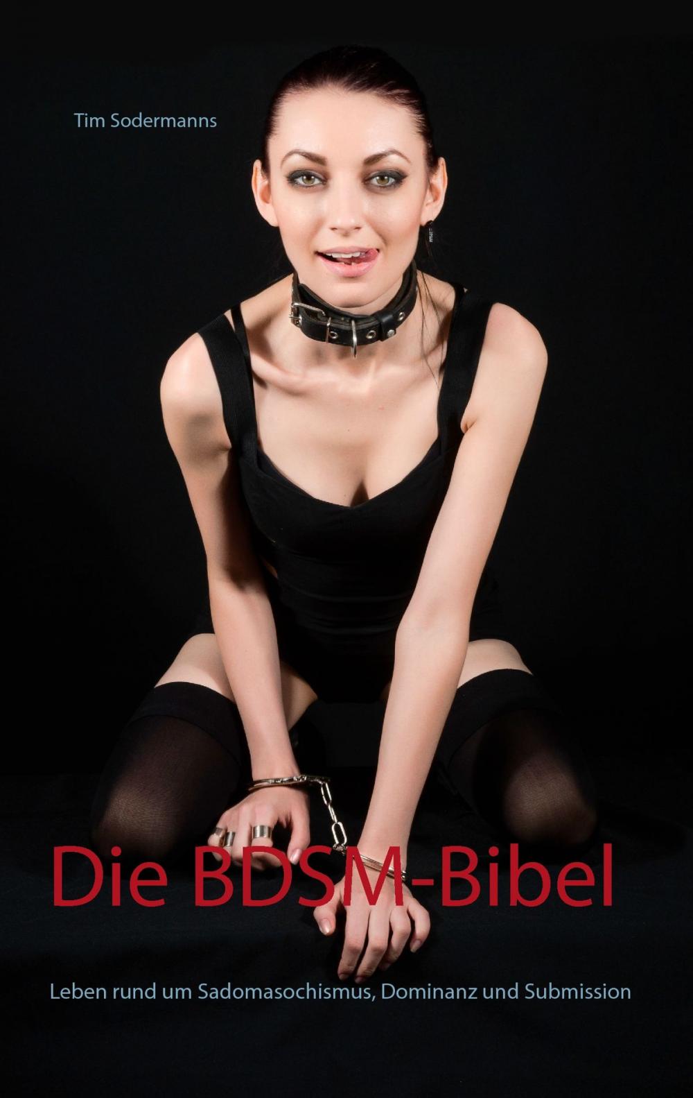 Big bigCover of Die BDSM-Bibel