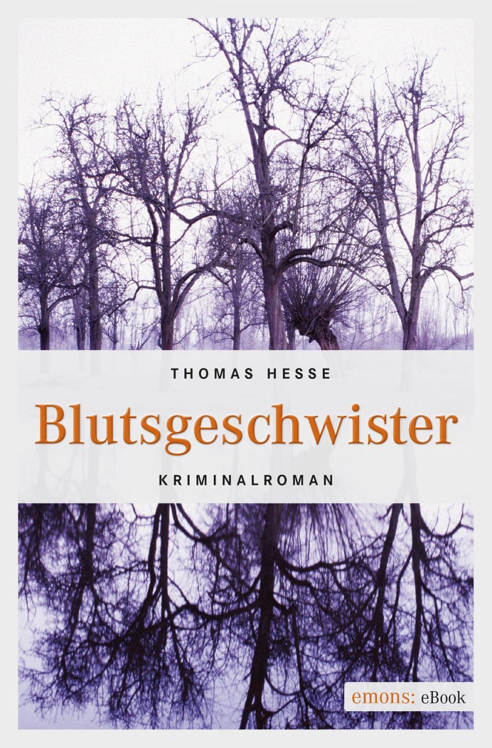 Big bigCover of Blutsgeschwister