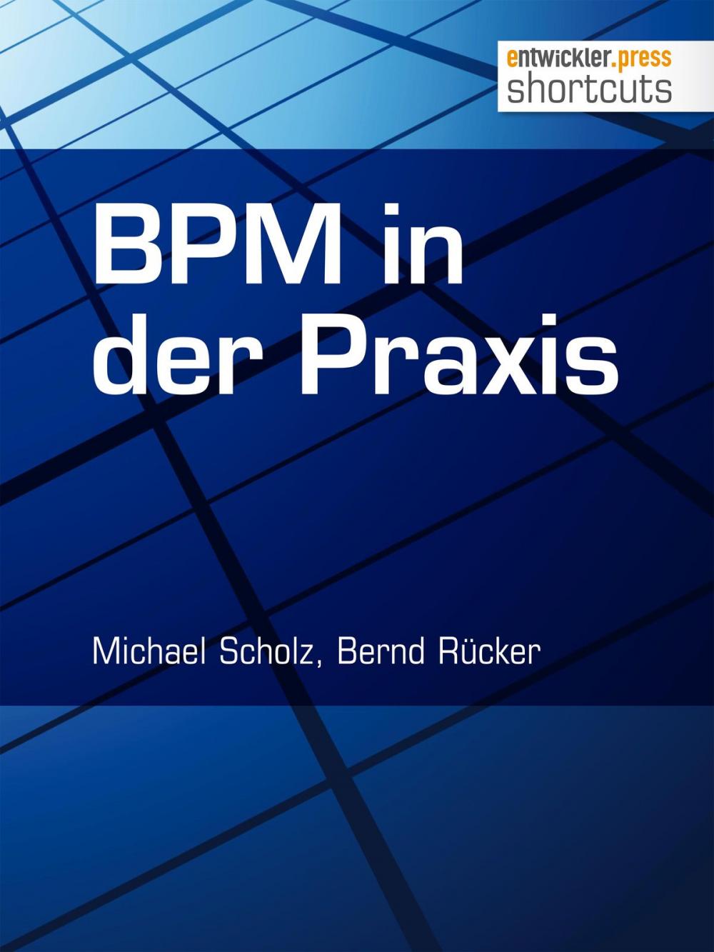 Big bigCover of BPM in der Praxis