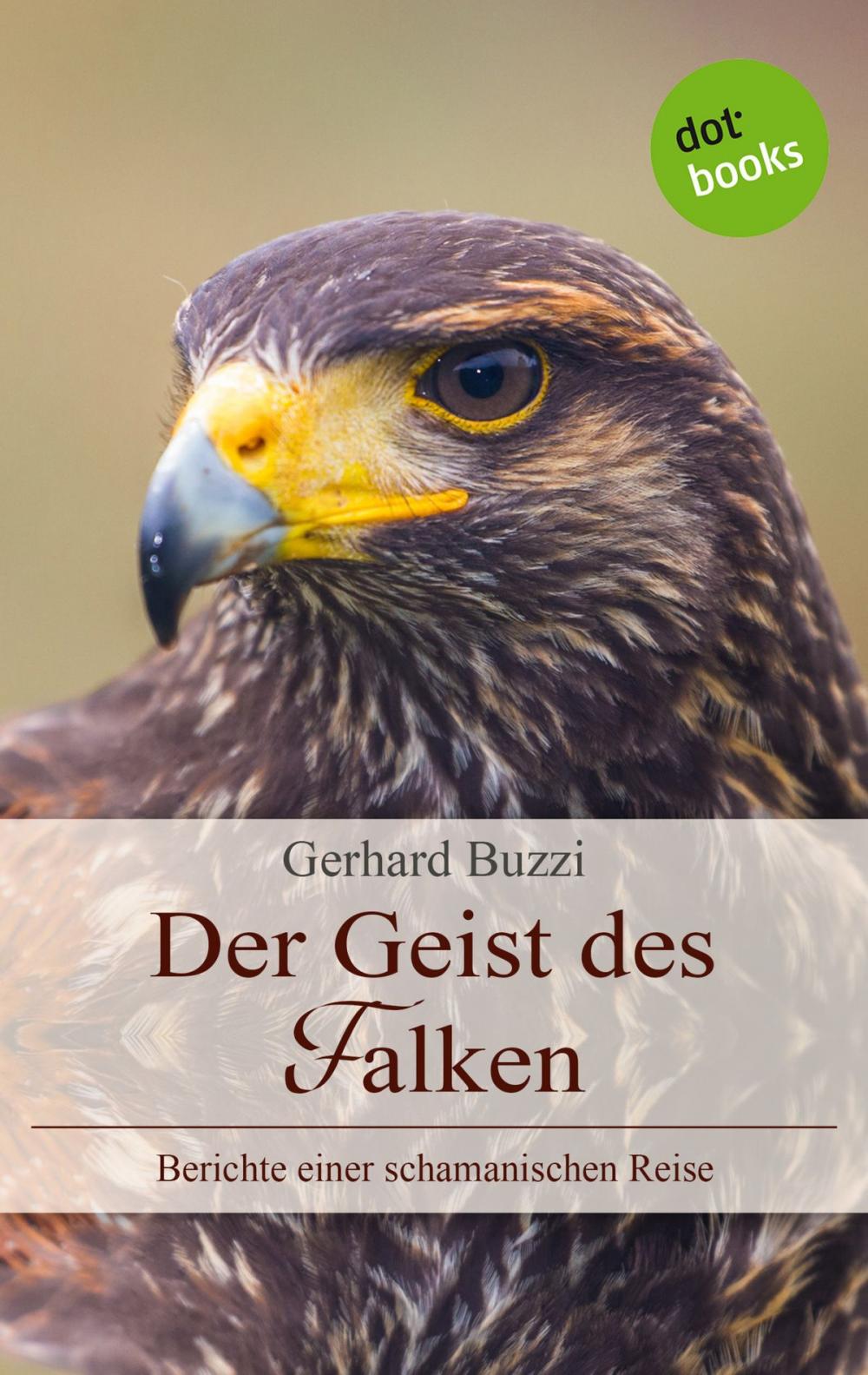 Big bigCover of Der Geist des Falken