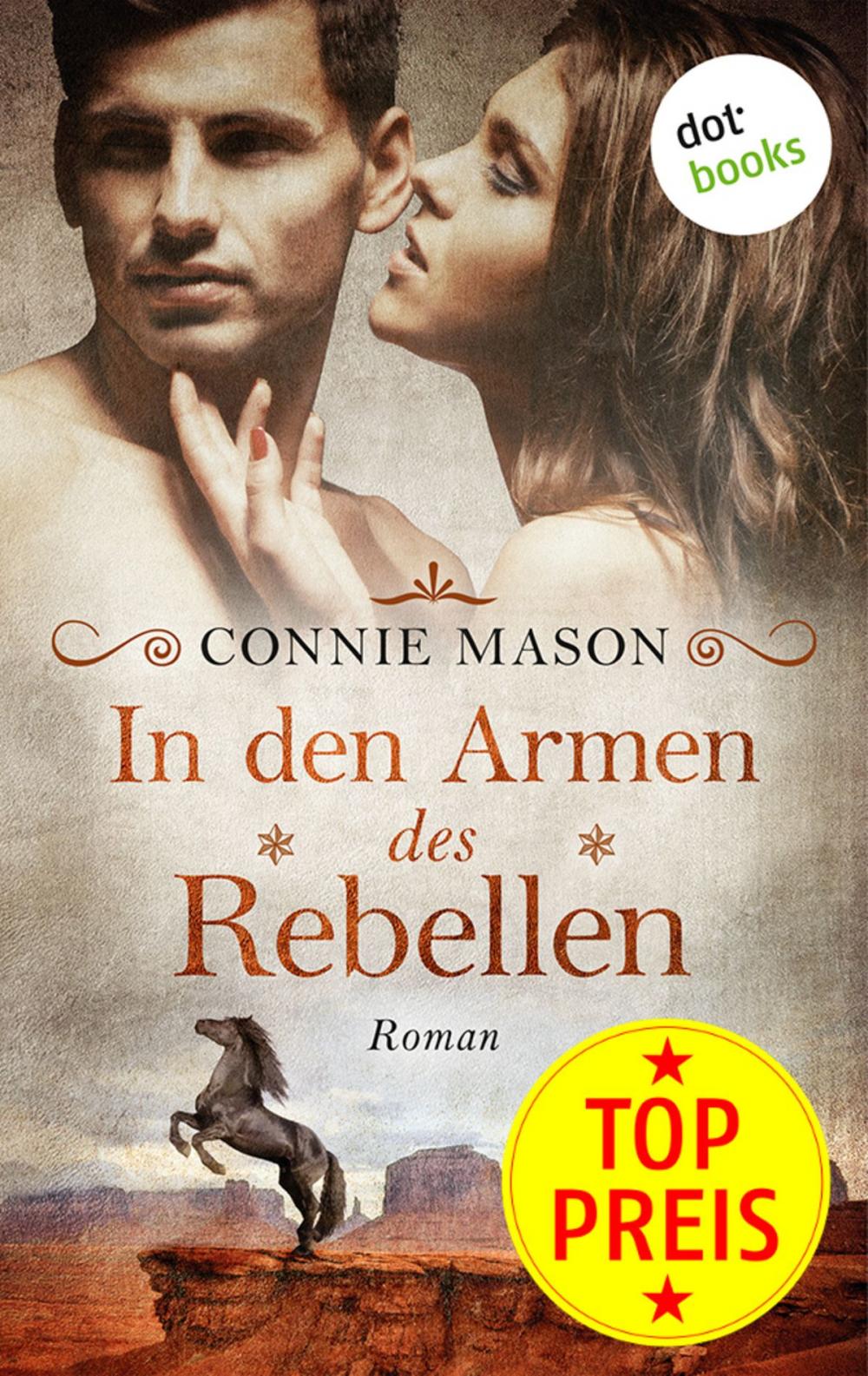 Big bigCover of In den Armen des Rebellen