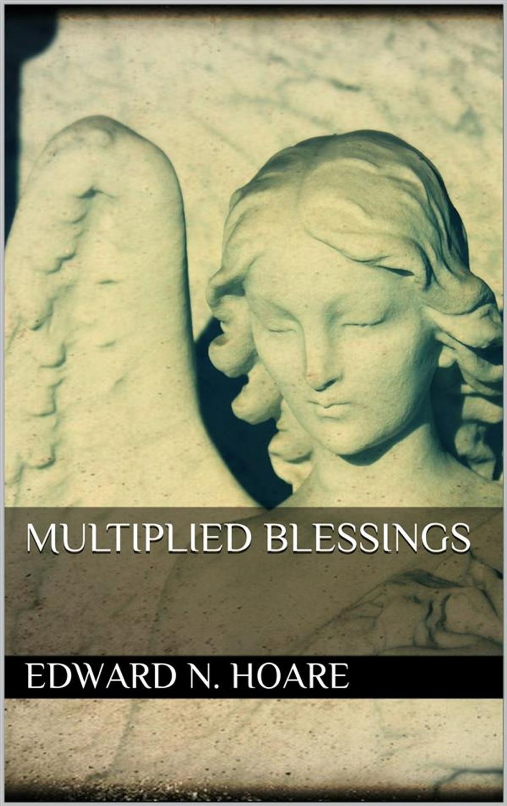 Big bigCover of Multiplied Blessings