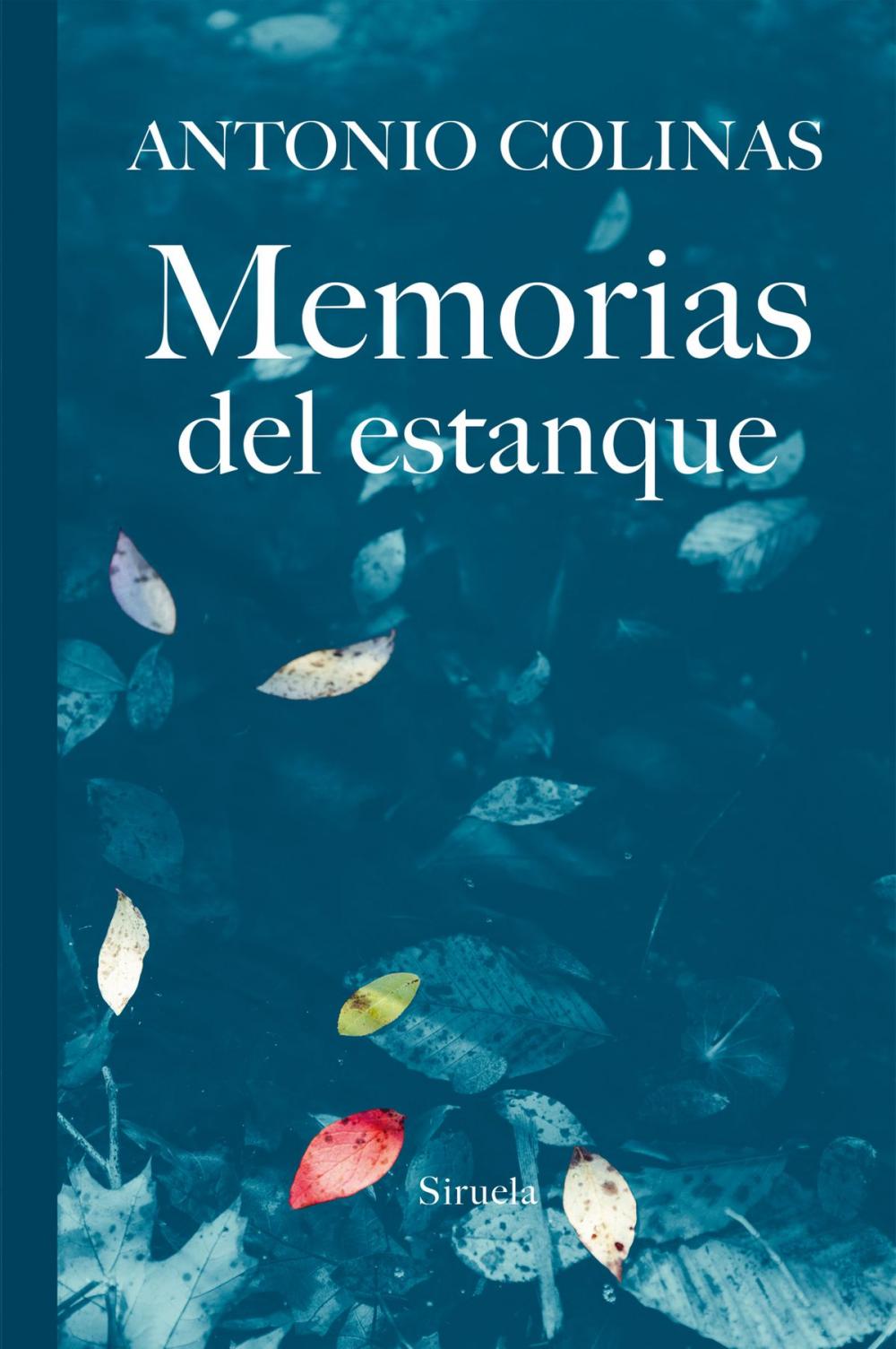 Big bigCover of Memorias del estanque