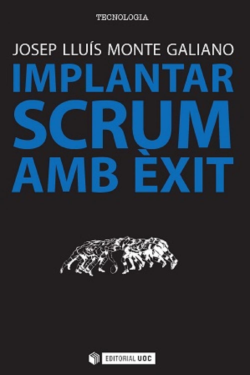 Big bigCover of Implantar SCRUM amb èxit