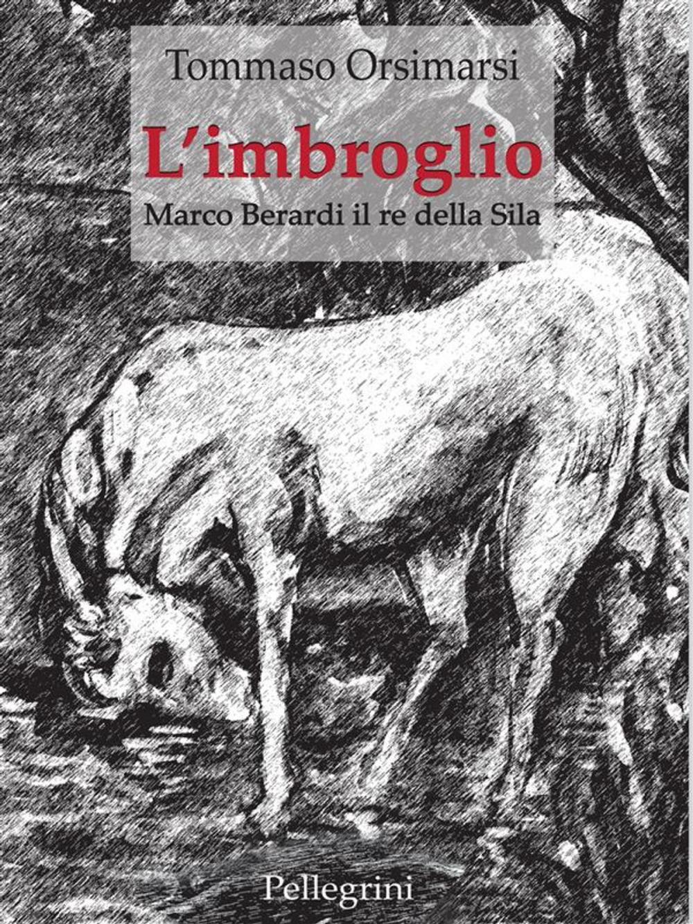 Big bigCover of L'imbroglio. Marco Berardi il re della Sila