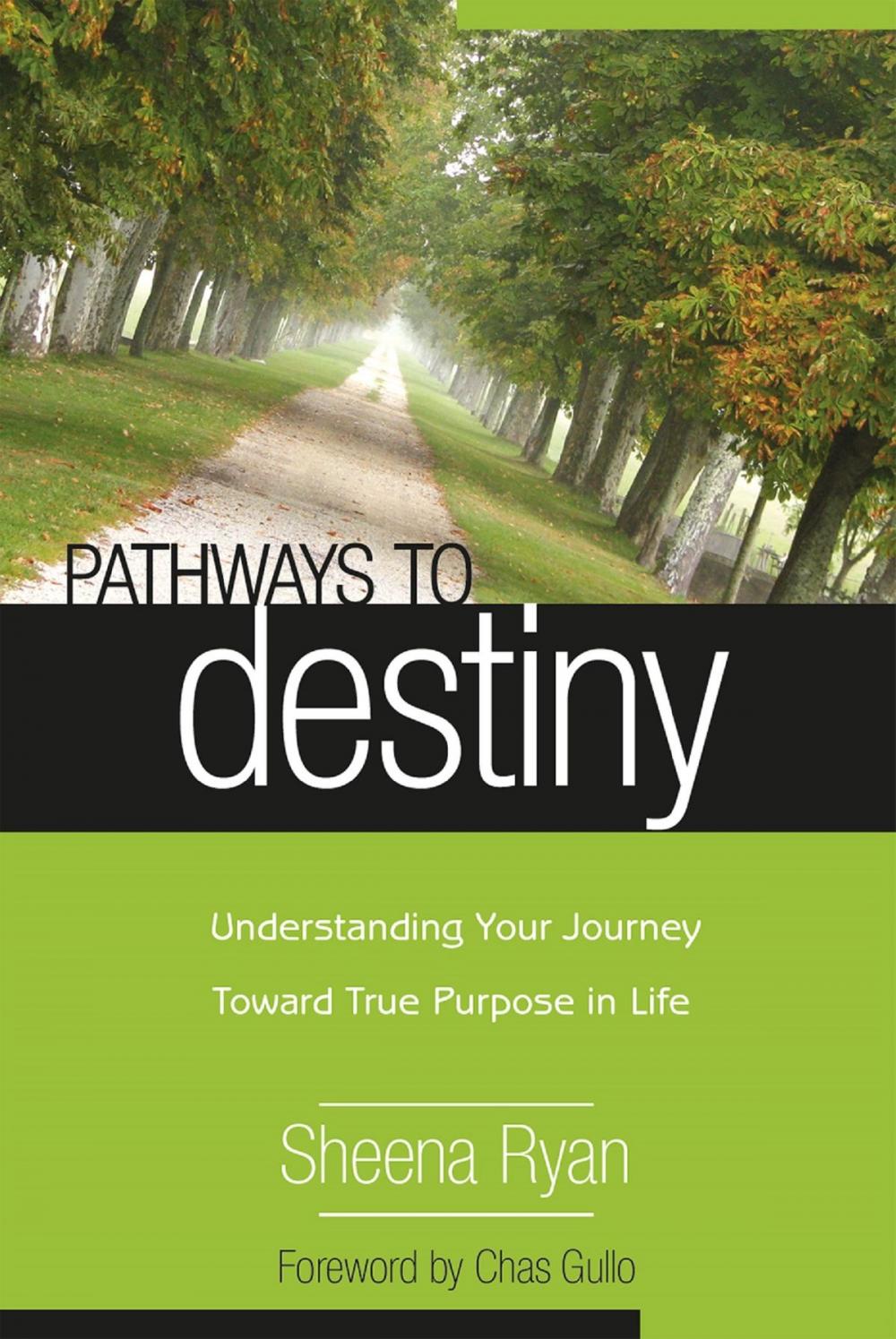 Big bigCover of Pathways To Destiny: Understanding Your Journey Toward True Purpose in Life