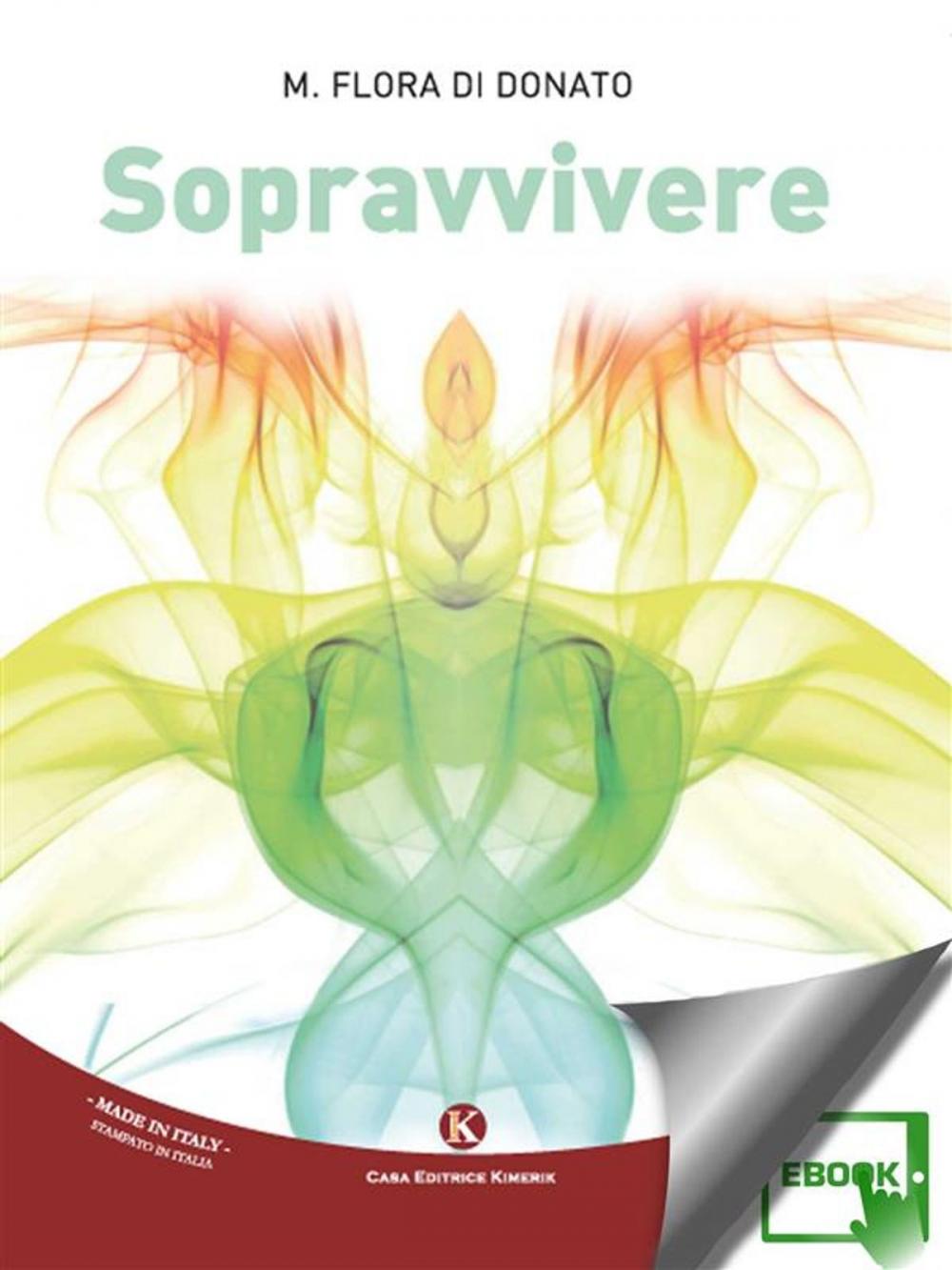 Big bigCover of Sopravvivere