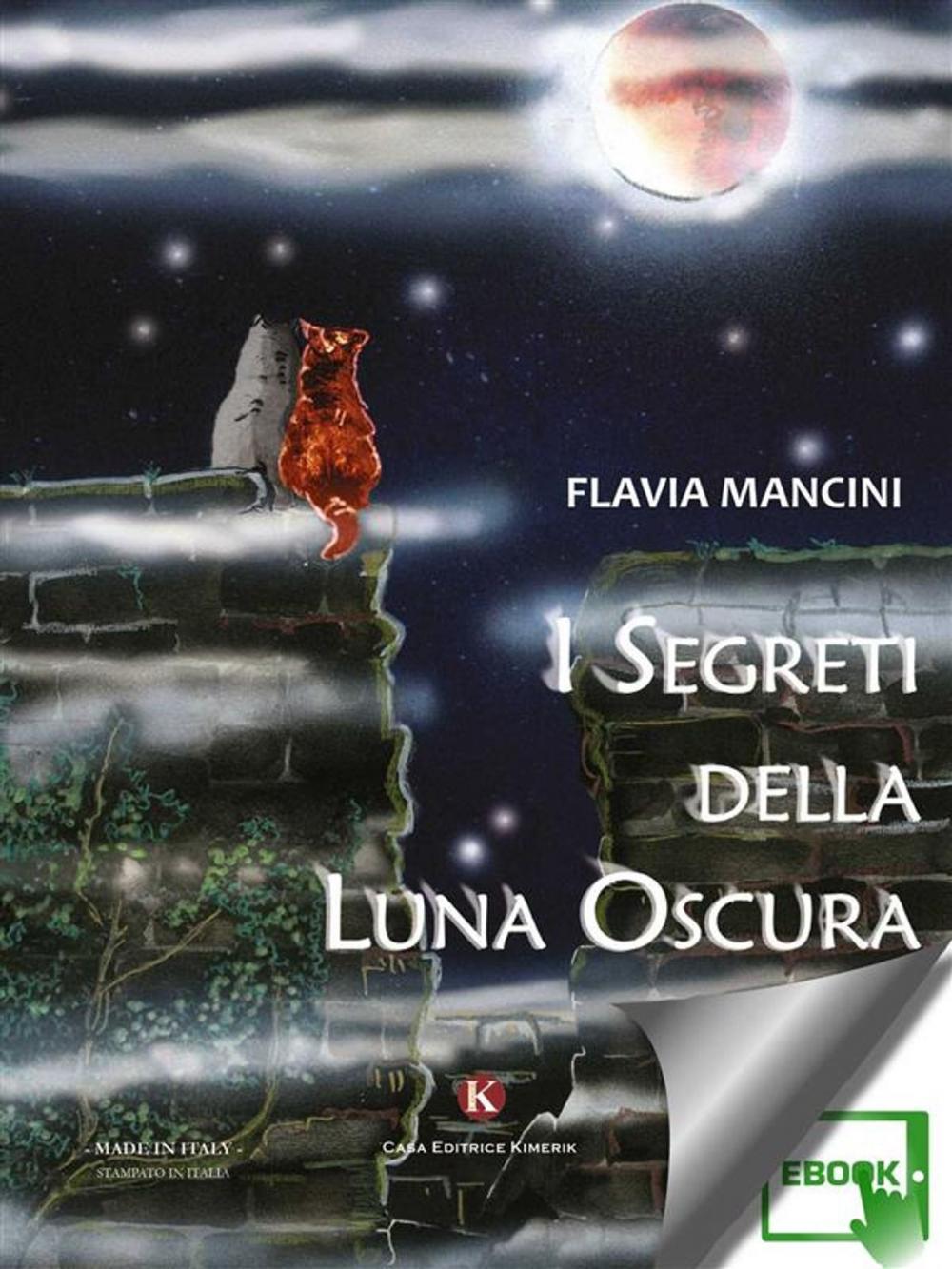 Big bigCover of I segreti della Luna Oscura