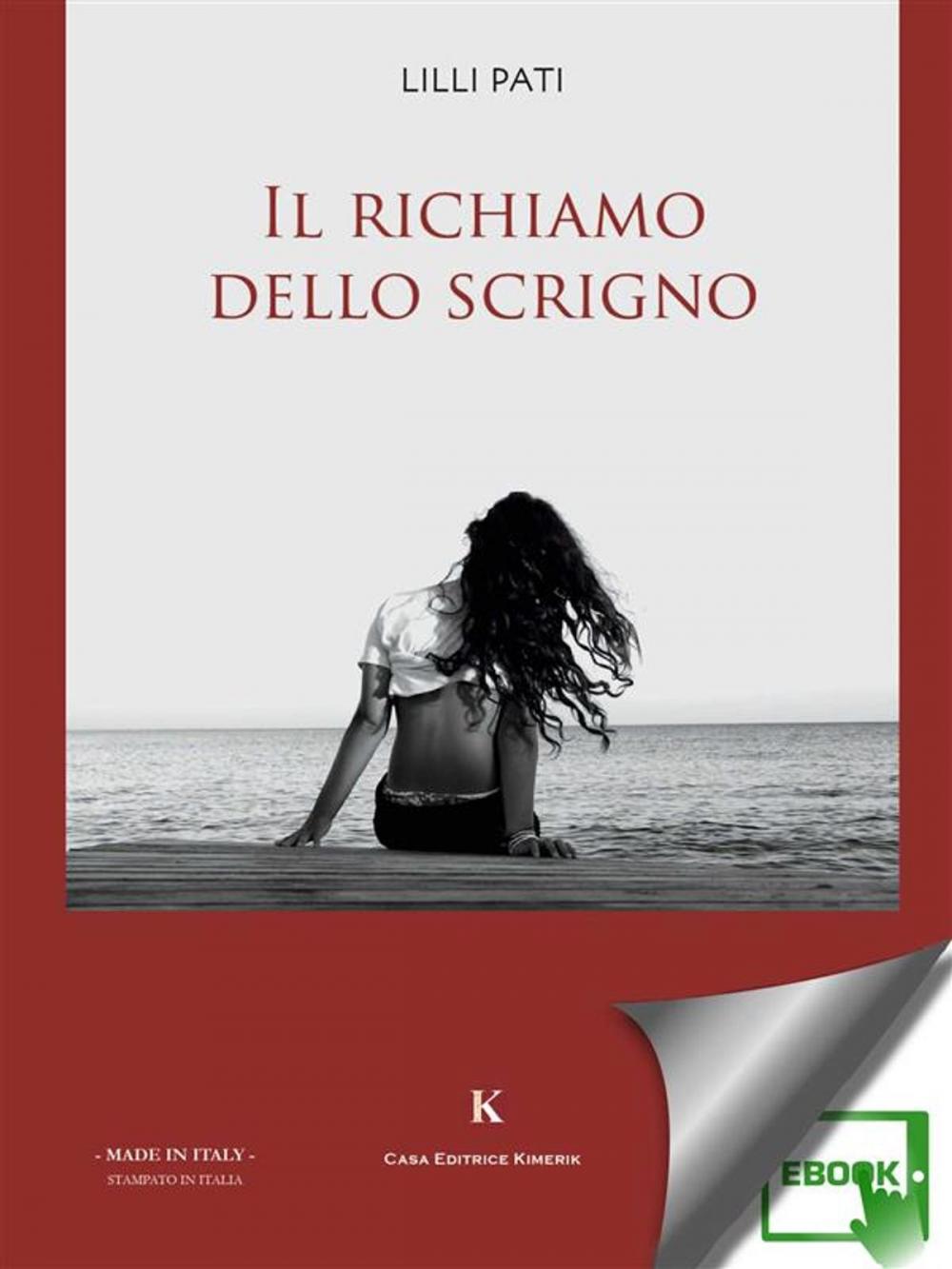 Big bigCover of Il richiamo dello scrigno