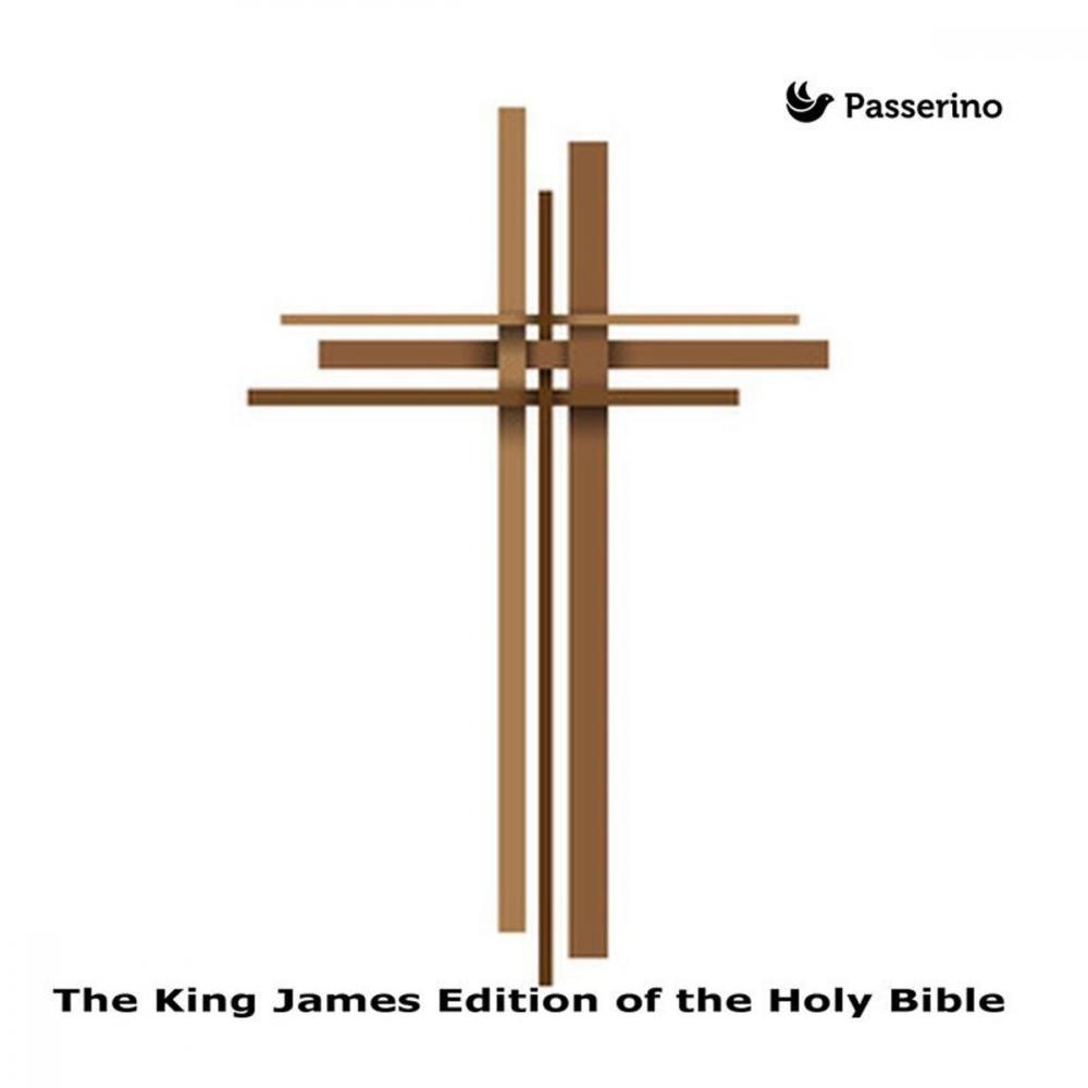 Big bigCover of The King James Edition of the Holy Bible