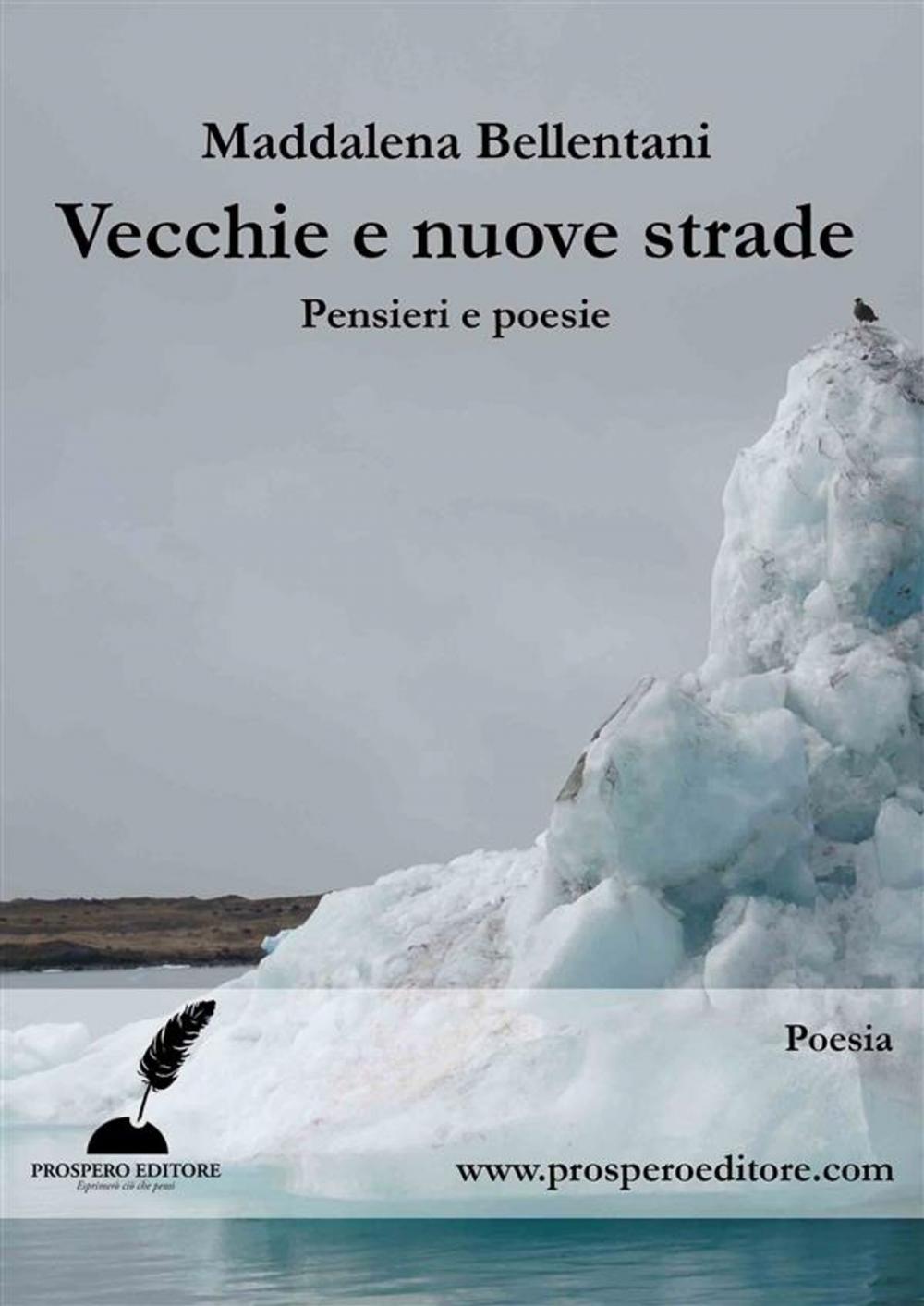 Big bigCover of Vecchie e nuove strade