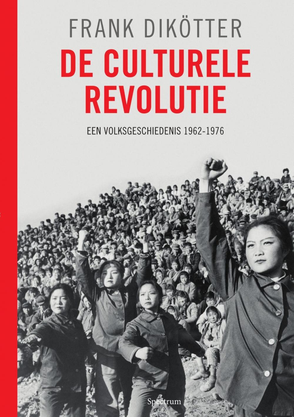 Big bigCover of De culturele revolutie