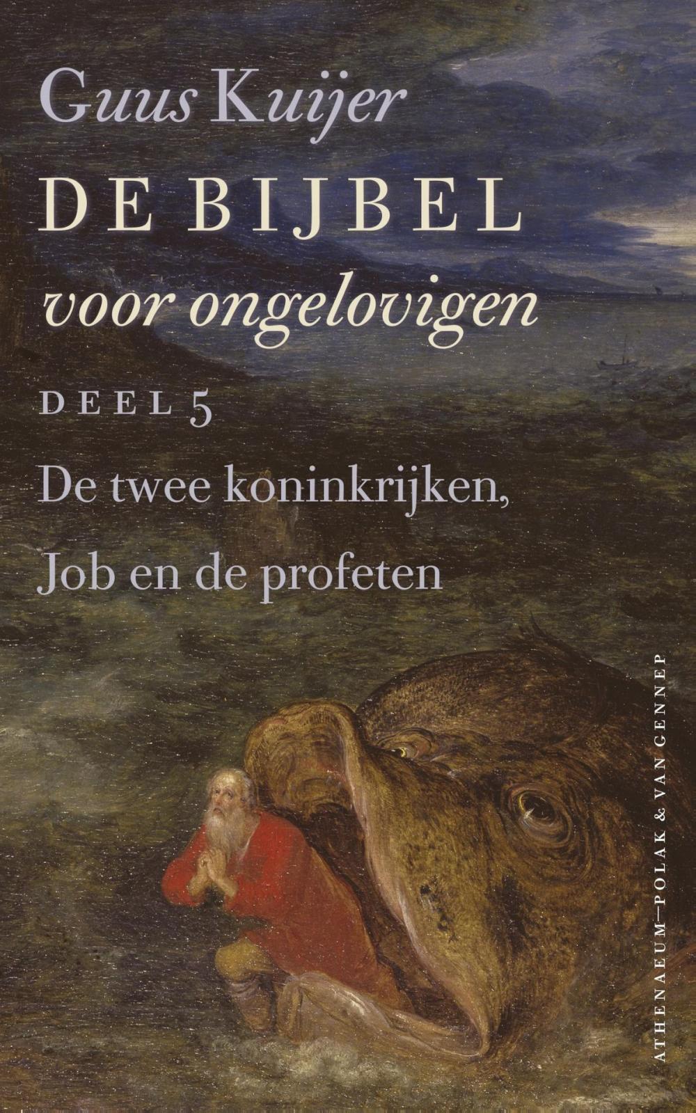 Big bigCover of De Bijbel voor ongelovigen