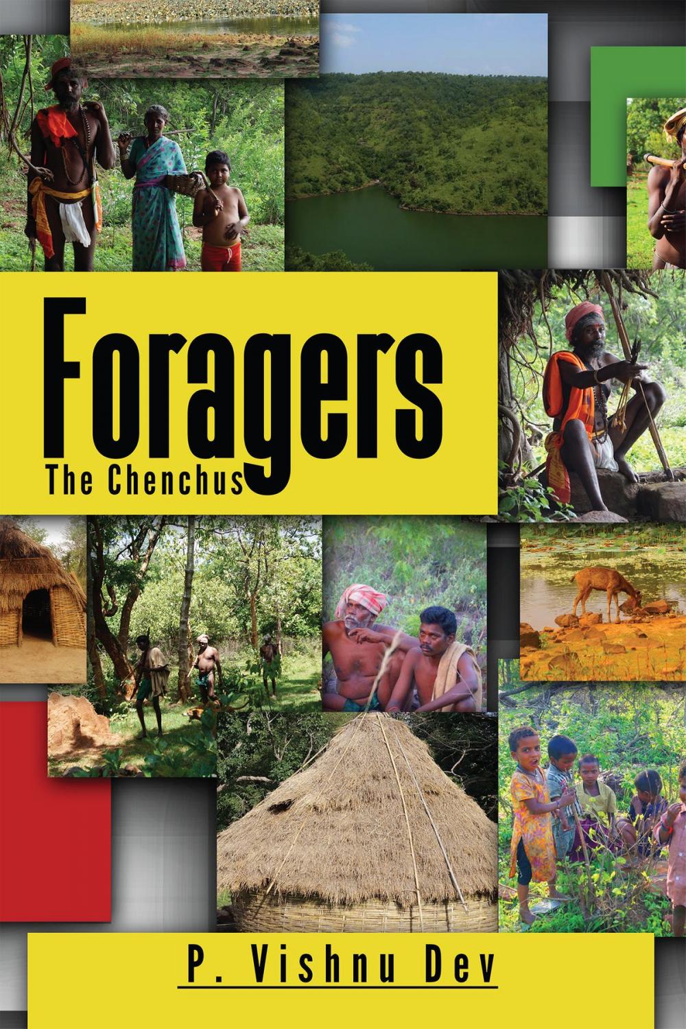 Big bigCover of Foragers