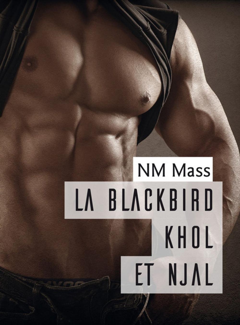 Big bigCover of La Blackbird Khôl et Njal