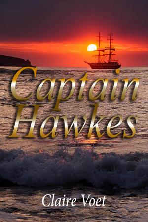Cover of Captain Hawkes