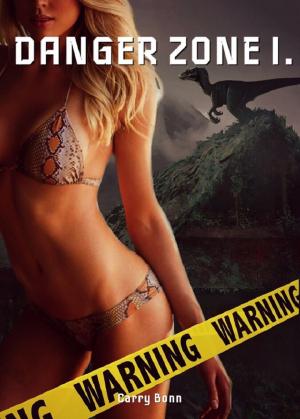 Cover of the book Danger Zone I. by Estelle Maroux