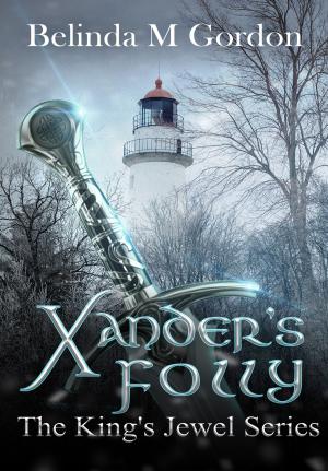 Cover of the book Xander's Folly by Rose Fairbanks