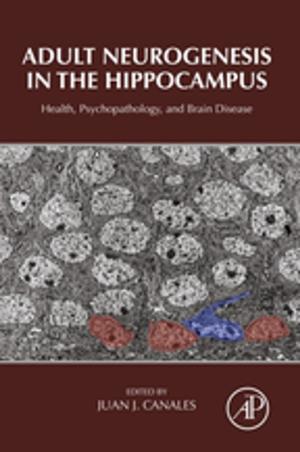 Cover of the book Adult Neurogenesis in the Hippocampus by Dov M. Gabbay, Paul Thagard, John Woods, Mohan Matthen, Christopher Stephens