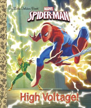 Book cover of High Voltage! (Marvel: Spider-Man)