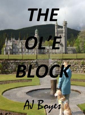 Book cover of The Ol'e Block