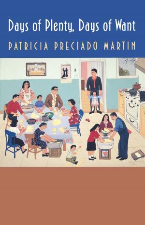 Cover of the book Days of Plenty, Days of Want by Manuela Lavinas Picq
