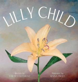 bigCover of the book Lilly Child by 