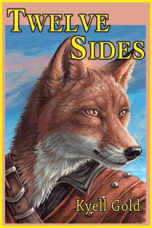 Cover of the book Twelve Sides by Martin Brant