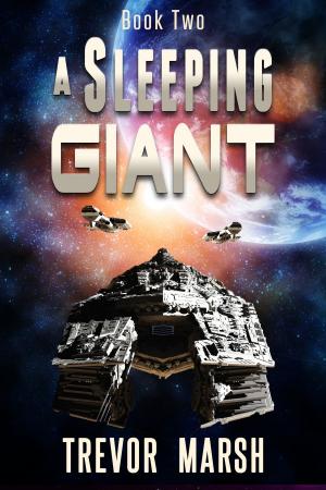 Cover of the book A Sleeping Giant by Digressing Me