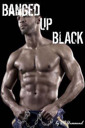 Cover of the book Banged Up Black by Lily Darling