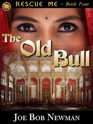 Cover of the book The Old Bull by Sébastien Brégeon