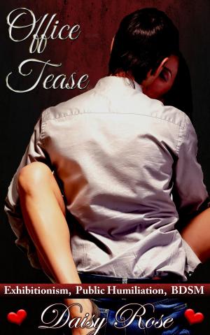 Cover of the book Office Tease by Daisy Rose