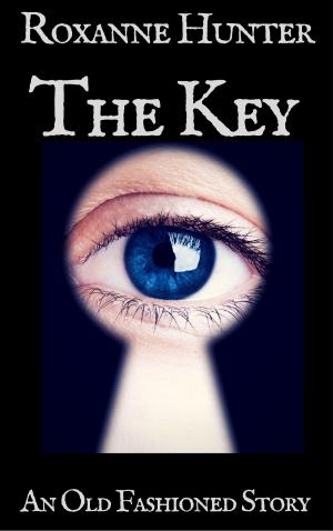 Cover of the book The Key by Frankie Bow