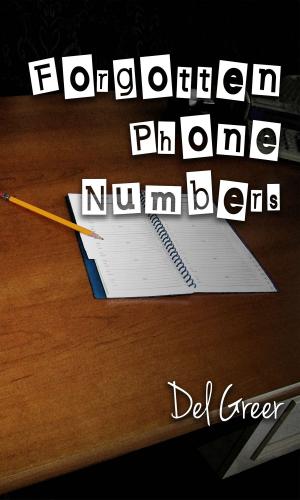 Cover of the book Forgotten Phone Numbers by Preze Reeese