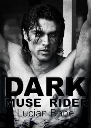 Book cover of Dark Muse Rider~Scribbler Guardian Spin-off