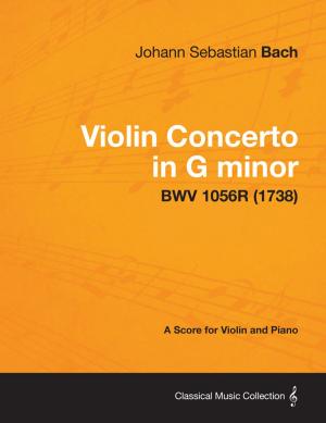 Cover of the book Violin Concerto in G minor - A Score for Violin and Piano BWV 1056R (1738) by Wilson Popenoe