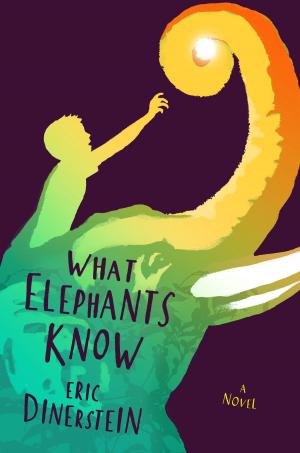 Cover of the book What Elephants Know by Cinda Williams Chima